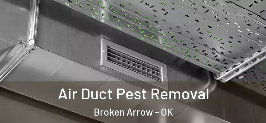  Air Duct Pest Removal Broken Arrow - OK