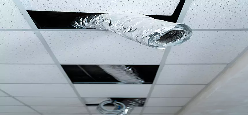 Our Air Duct Pet Hair Removal Services in Broken Arrow, OK