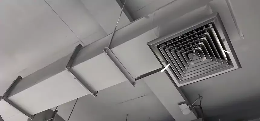 Our Pest Removal From Ducts Services in Broken Arrow, OK