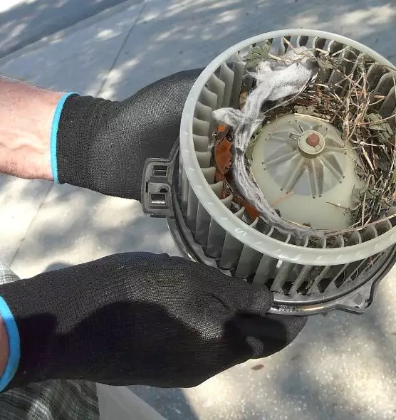 About Air Duct Rat Removal in Broken Arrow, OK