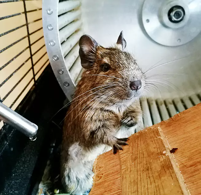 Why Homeowners & Businesses Trust Us Broken Arrow, OK